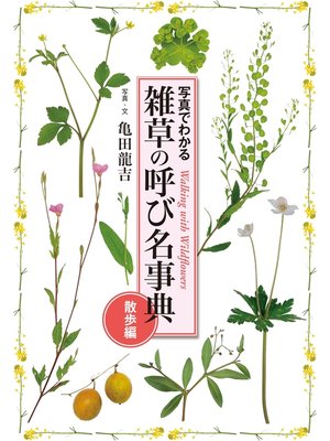 cover image of 雑草の呼び名事典: 散歩編 写真でわかる